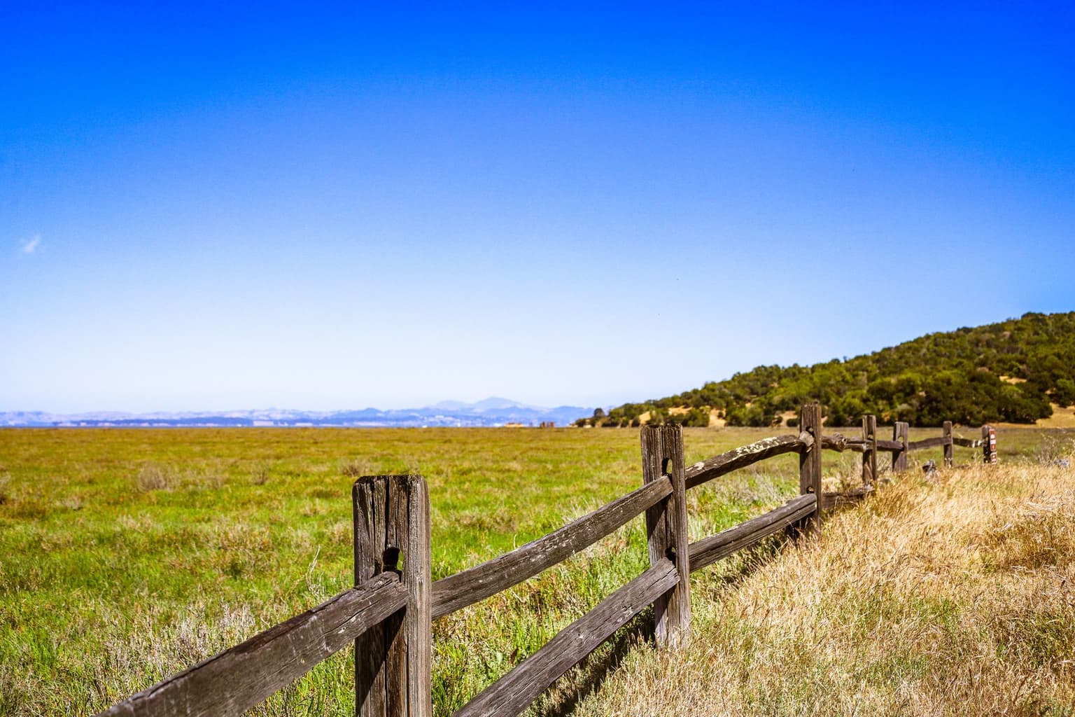 Residential plot for sale in Bavdhan, Pune